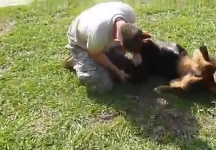 Vojnik je konačno došao kući, pogledajte kako je reagovao njegov vjerni pas (VIDEO)