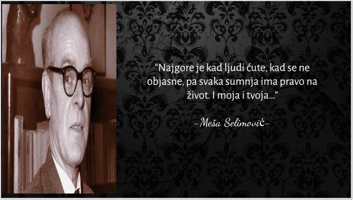 selimovic-citat