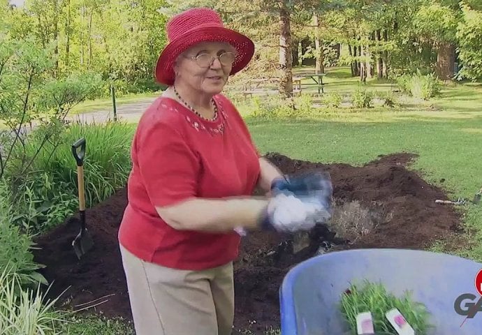 Mislili su da bakica sadi cvijeće, a onda su prišli bliže i ugledali nešto što ih je zaprepastilo