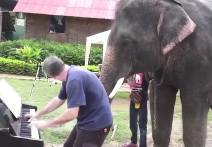 Dok je svirao klavir, iza leđa mu je prišao veliki slon i uradio nešto neočekivano (VIDEO)