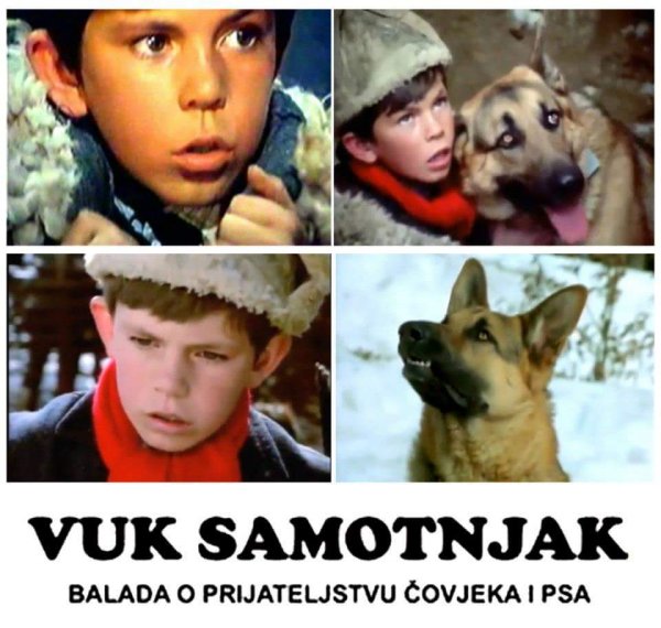 vuk-samotnjak