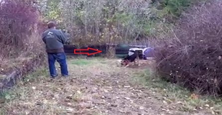 Cijeli život je bio vezan: Pogledajte reakciju kad mu je stranac prišao i pustio ga (VIDEO)