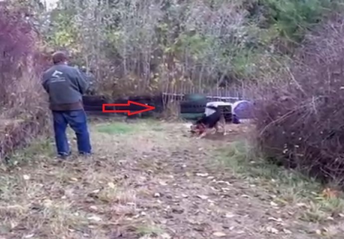 Cijeli život je bio vezan: Pogledajte reakciju kad mu je stranac prišao i pustio ga (VIDEO)