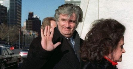 Radovan Karadžić: "Nisam ubio nikoga osim njujorških žohara" 