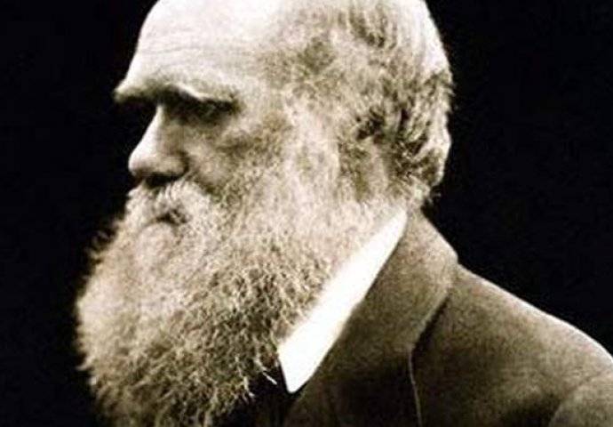 Prije 134 godine umro britanski naučnik i osnivač teorije o evoluciji