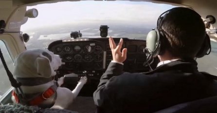 Pilot sa četiri noge: Evo kako izgleda kada pas upravlja avionom