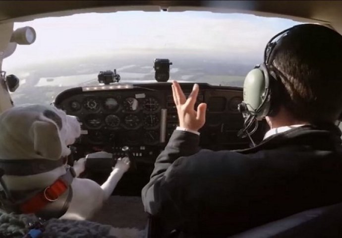 Pilot sa četiri noge: Evo kako izgleda kada pas upravlja avionom