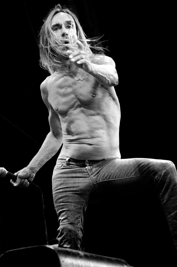 iggy-pop1