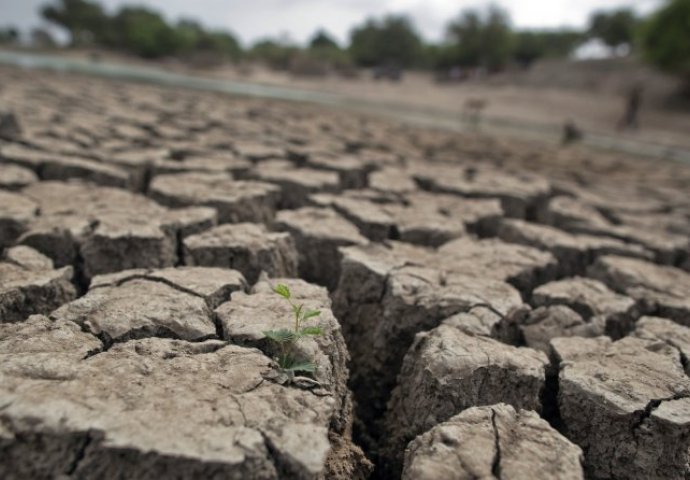 Najmanje 330 miliona ljudi pogođeno sušom