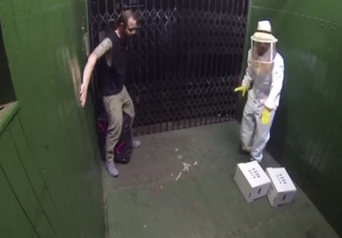 U liftu mu ispale kutije s "pčelama ubicama": Ne biste htjeli biti na njihovom mjestu (VIDEO)