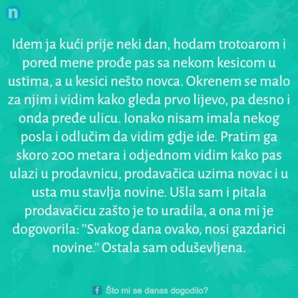 novine