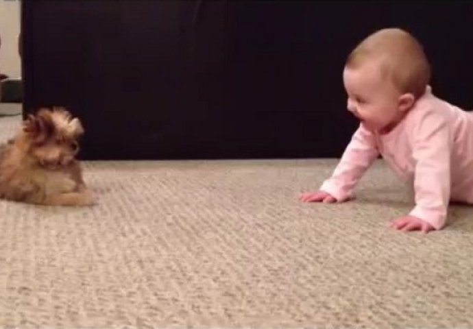 Razgovor između ova dva mališana će vam izmamiti osmijeh na lice (VIDEO)