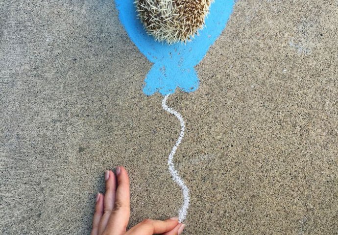 On ima preko 20. 000 pratilaca i nova je zvijezda Instagrama