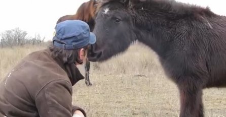 Spasio malog konjića od sigurne smrti: Kada vidite kako mu se on zahvalio, oduševit ćete se (VIDEO)