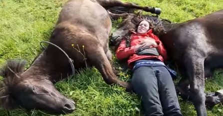 Legla je između dva konja: Njihova reakcija će vam rastopiti srce (VIDEO) 