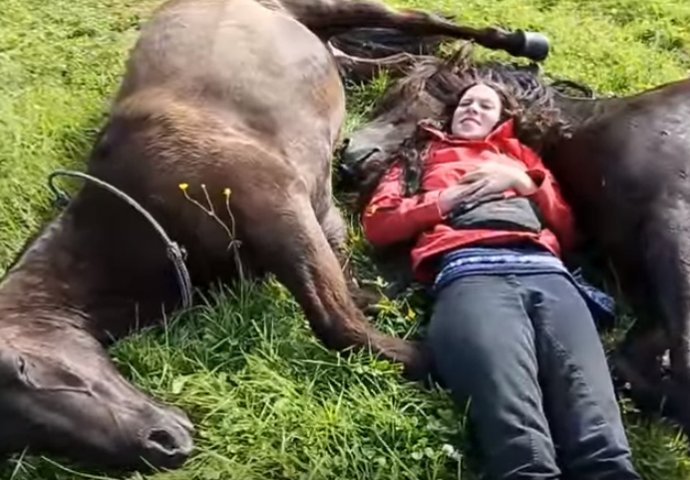 Legla je između dva konja: Njihova reakcija će vam rastopiti srce (VIDEO) 
