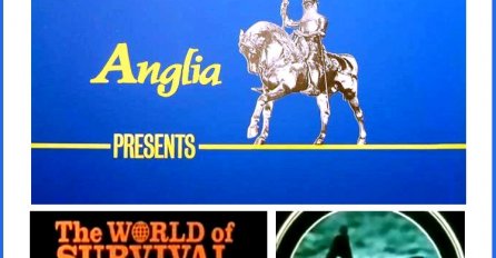 Omiljena emisija kod mlađe populacije: Čuvena naučno-dokumentarna serija o svijetu životinja