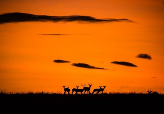 Fascinatno: Pogledajte najbolje fotografije sa National Geographic takmičenja