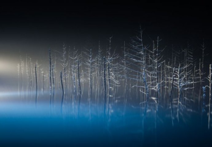 Fascinatno: Pogledajte najbolje fotografije sa National Geographic takmičenja