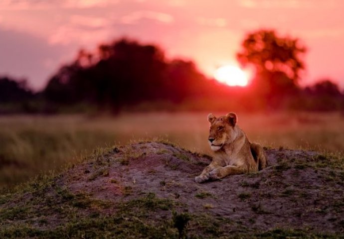 Fascinatno: Pogledajte najbolje fotografije sa National Geographic takmičenja