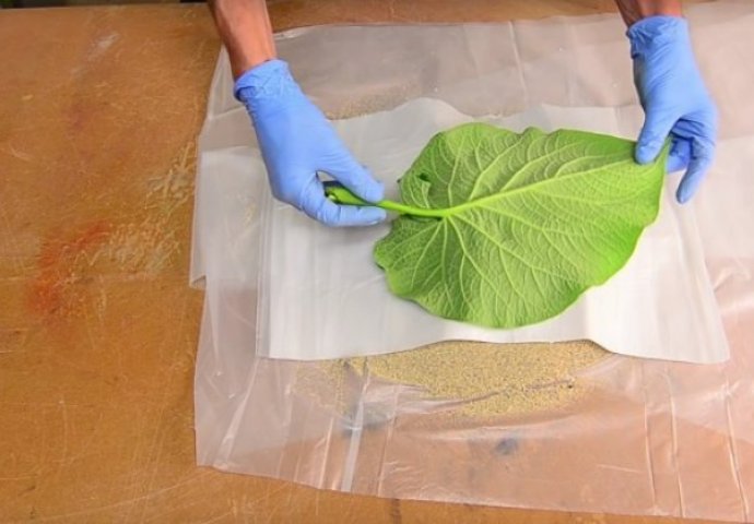 Jednostavno, kreativno i fenomenalno: Ideja koja će vas očarati! (VIDEO) 