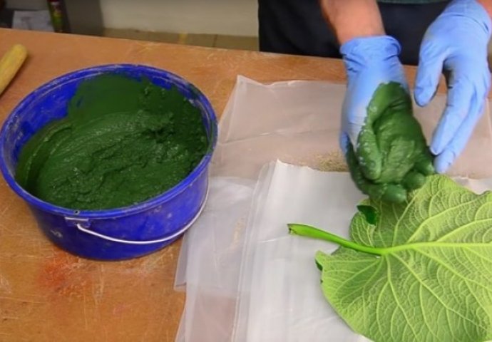 Jednostavno, kreativno i fenomenalno: Ideja koja će vas očarati! (VIDEO) 