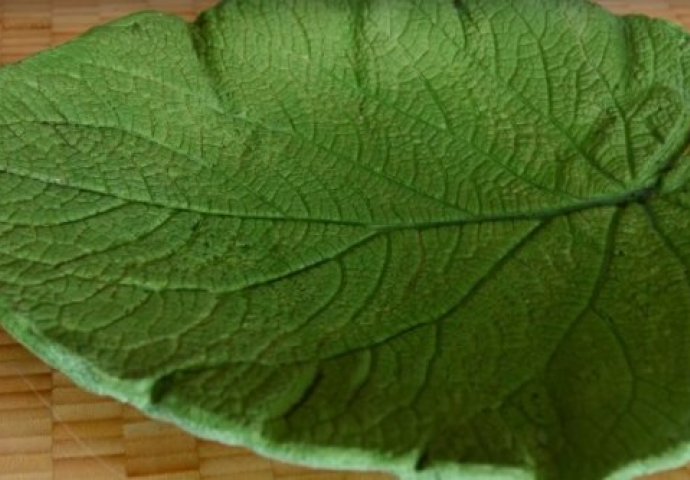 Jednostavno, kreativno i fenomenalno: Ideja koja će vas očarati! (VIDEO) 