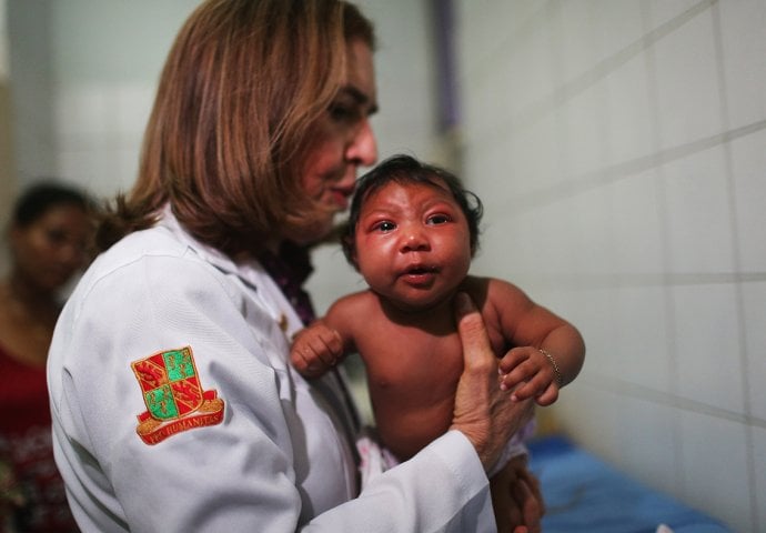 Ovog ljeta Zika virus i u Europi 