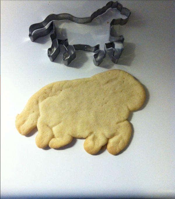 uzas-je-previse-slaba-rec-15-fotografija-koje-pokazuju-kako-izgleda-pravo-razocarenje-i-ocaj-12-05-16-6