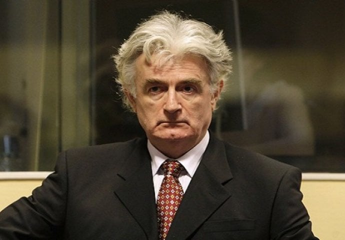 Karadžić traži dodatnih 90 dana za žalbu