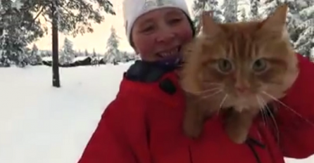 Vidjeli ste mnogo maca, ali niti jedna ne može da uradi ovo (VIDEO)