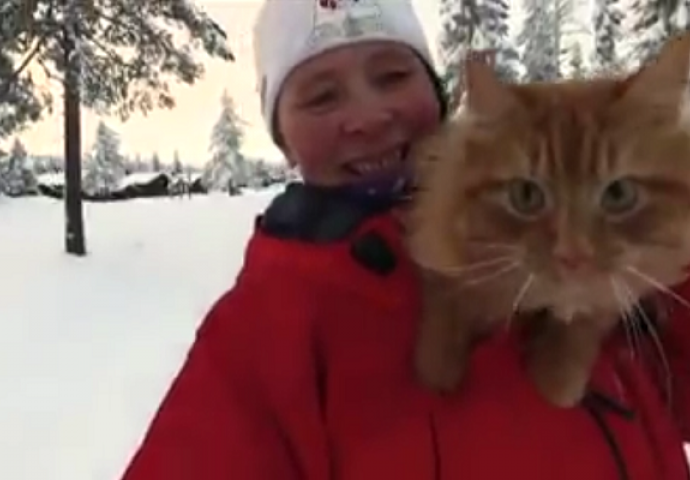 Vidjeli ste mnogo maca, ali niti jedna ne može da uradi ovo (VIDEO)