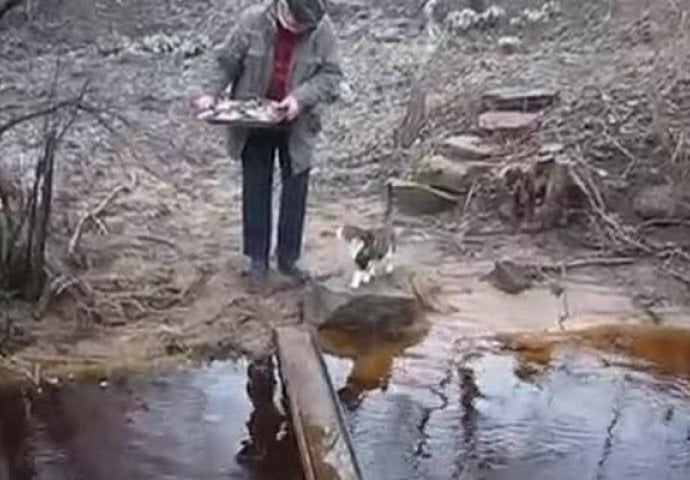 Ono što je ova maca uradila nasmijalo je milione ljudi širom svijeta, pogledajte zašto (VIDEO)