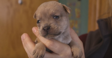 "Mama mi je poginula i poslala poruku s neba, želim da je svi vide" (VIDEO)