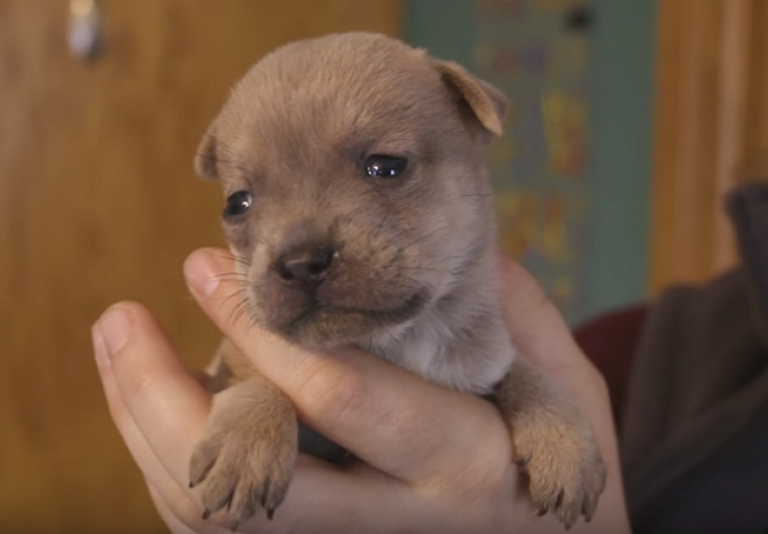 "Mama mi je poginula i poslala poruku s neba, želim da je svi vide" (VIDEO)