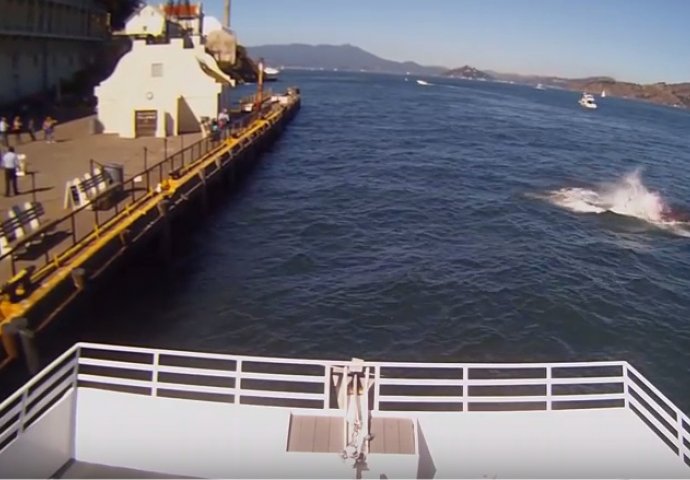 Utovarali su stvari na brod, a onda su snimili nešto potpuno neočekivano (VIDEO)
