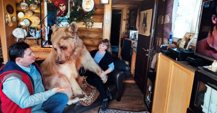 SAMO U RUSIJI: Par živi sa medvjedom teškim 150 kilograma 