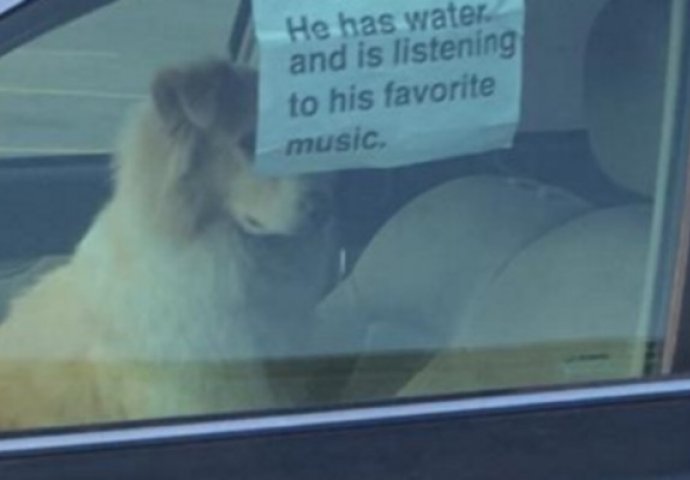 Hit na društvenim mrežama: Vlasnik ostavio psa u autu, ali i poruku prolaznicima (FOTO) 