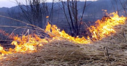 FUCZ: U Bosanskoj Krupi gorjelo nisko rastinje, u Cazinu šuma