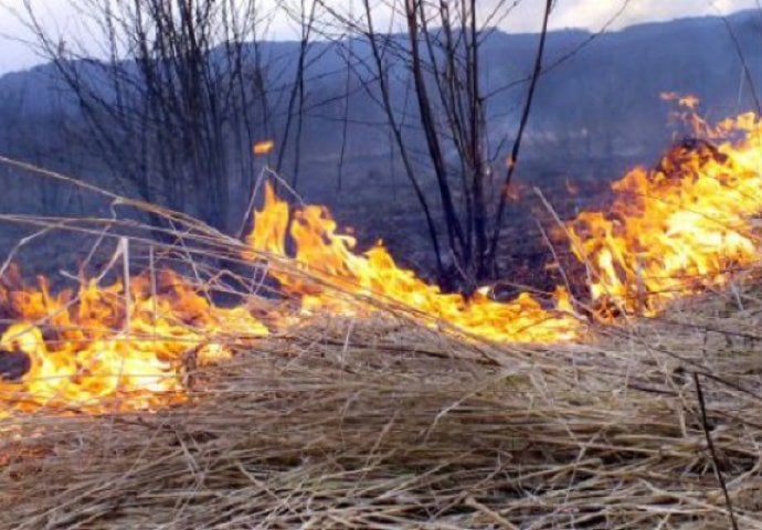 FUCZ: U Bosanskoj Krupi gorjelo nisko rastinje, u Cazinu šuma