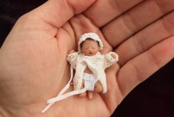 minijature-bebe33