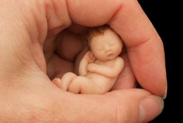 minijature-bebe5