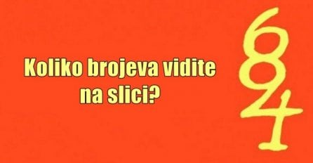 Mozgalica koja je zaludila internet: Koliko brojeva vidite na ovoj fotografiji? 