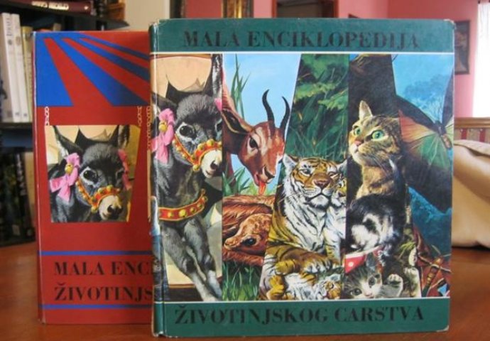 Knjige i slikovnice koje će vas iste sekunde vratiti u rano djetinjstvo! (FOTO)