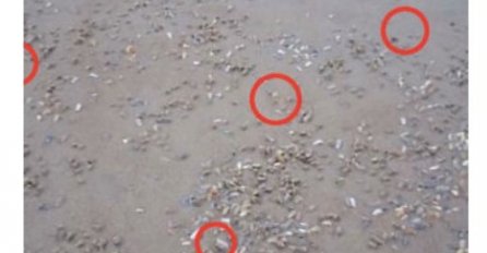 Nevjerovatno: Sjetite se ovoga kada sljedeći put budete na plaži (VIDEO) 
