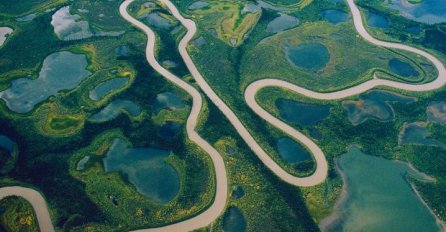 "Zemaljski dragulj": Ovih 10 tajni o Amazoniji niste znali (VIDEO) 