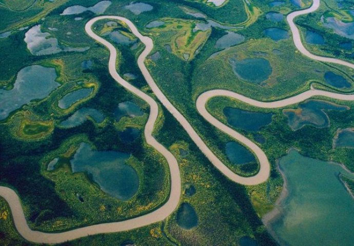 "Zemaljski dragulj": Ovih 10 tajni o Amazoniji niste znali (VIDEO) 