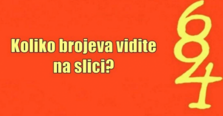 Tek 2% ljudi zna tačan odgovor: Koliko brojeva vidite na slici?