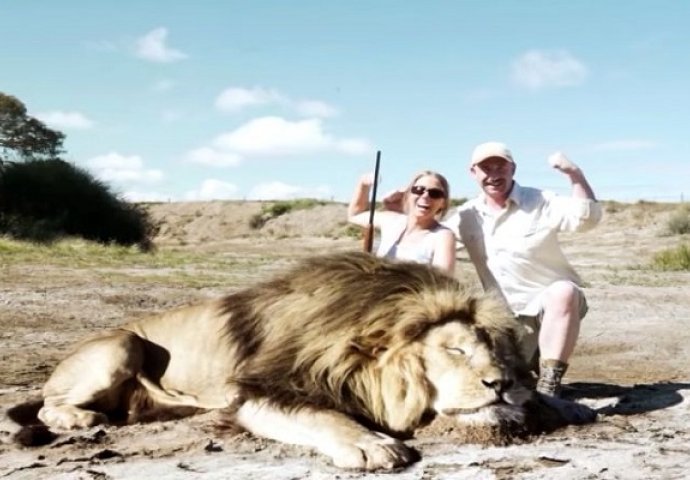 Muž i žena su se slikali pokraj mrtvog lava, a onda je uslijedio pravi šok (VIDEO)