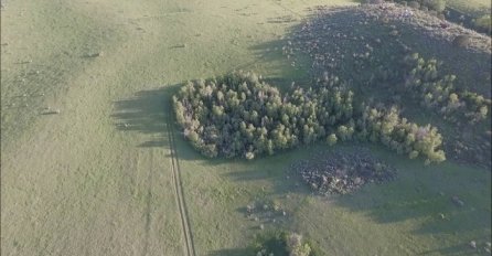 Snimao je dronom šumu, a onda je na 0:32 sasvim slučajno uhvatio ovo (VIDEO)